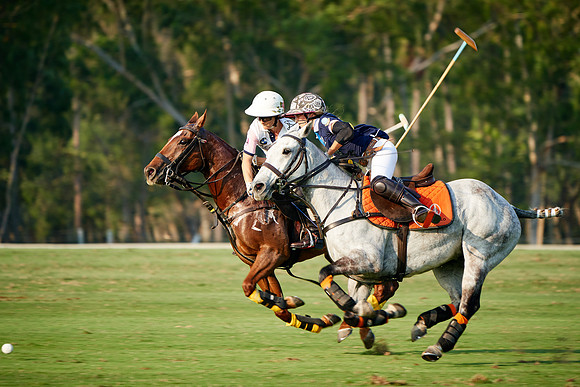 THAI-PINK-POLO-2019_DJ_5111