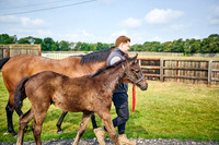 2025-06-09-Dominic-James-02092