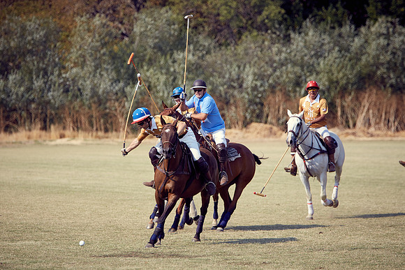 Oyster Cup Polo tournament