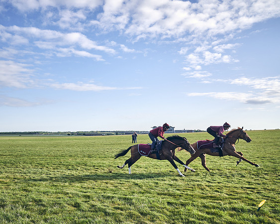 SUMMER GALLOPS-2nd-May-DJ-1690