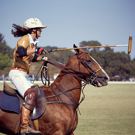 Oyster Cup Polo tournament
