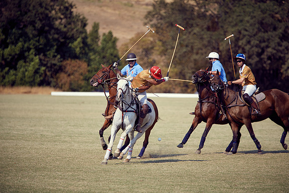 Oyster Cup Polo tournament