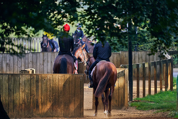 12th-Sept-Dominic-James-00819