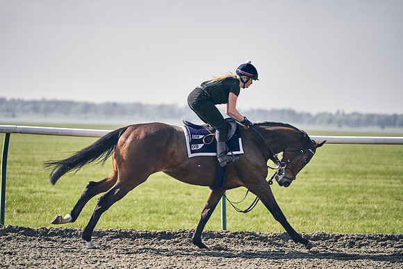 GEORGE-BOUGHEY-RACING-DJ-3425