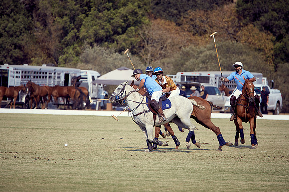 Oyster Cup Polo tournament