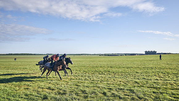 SUMMER GALLOPS-2nd-May-DJ-1526