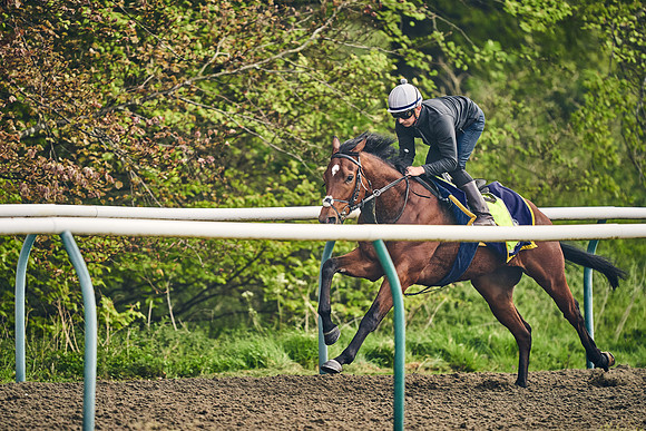 NEWMARKET-GALLOPS-24nd-APRIL-DJ-0448