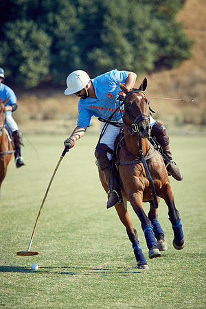Oyster Cup Polo tournament