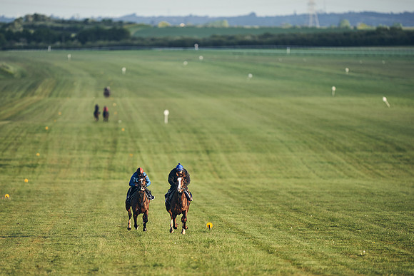 SUMMER GALLOPS-2nd-May-DJ-2215