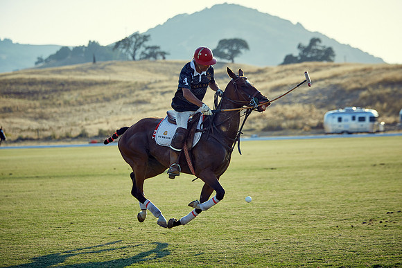 Oyster Cup Polo tournament