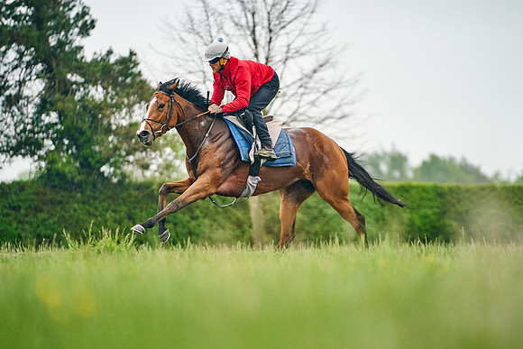 2022-05-07-Dominic-James-1077