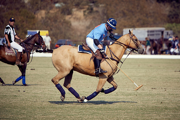 Oyster Cup Polo tournament