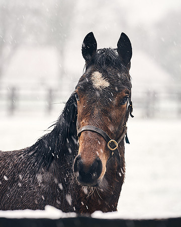 NATIONAL-STUD-27th-FEB-DJ-_DJ94321.ARW-5475