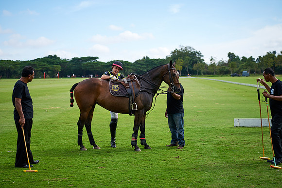 _DSC6960.ARW