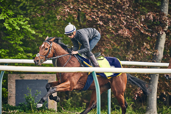 NEWMARKET-GALLOPS-24nd-APRIL-DJ-0453