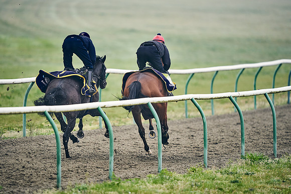 NEWMARKET-GALLOPS-24nd-APRIL-DJ-0382