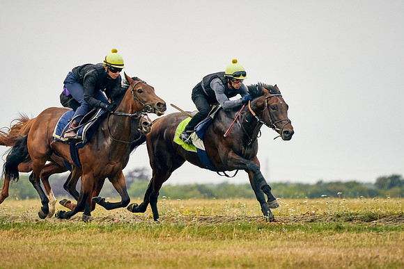 2022-07-23-DominicJames-0492