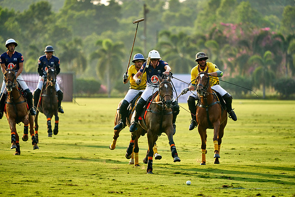 THAI-POLO-OPEN-2019_DJ_1205