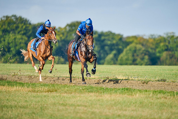 2022-09-08-Dominic-James-5152