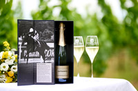 Newsells product shots7402349