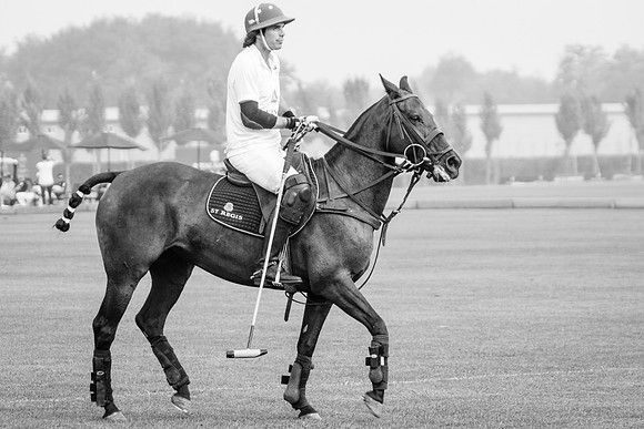 Royal Salute Gold Cup 2012 China Polo Tournament Open