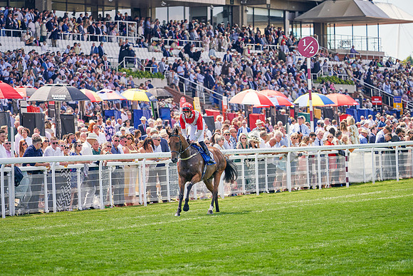 QGF2022_DominicJames_15606