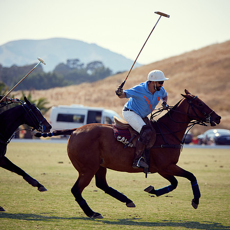 Oyster Cup Polo tournament