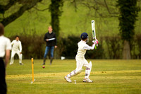 20130411-cricket-AG3A6661