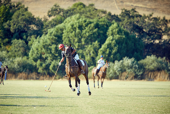 Oyster Cup Polo tournament