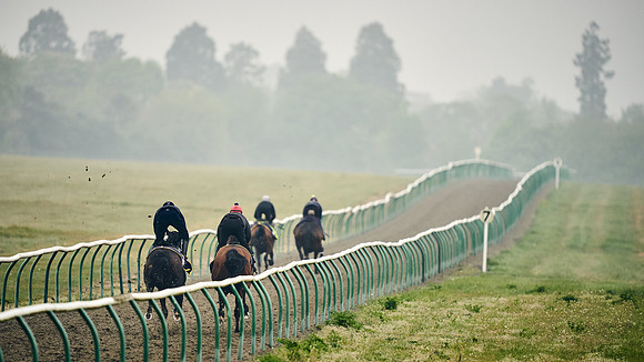 NEWMARKET-GALLOPS-24nd-APRIL-DJ-0394