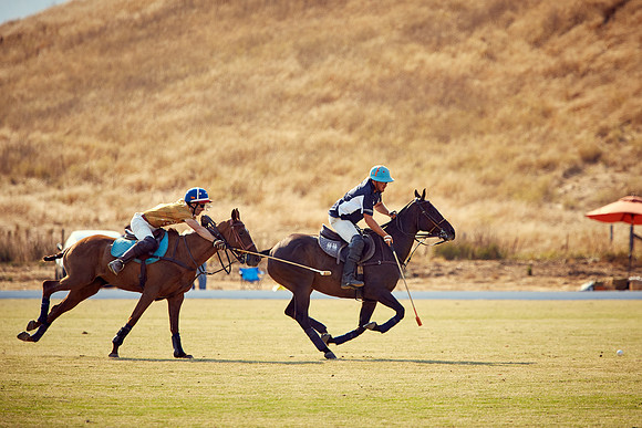 Oyster Cup Polo tournament