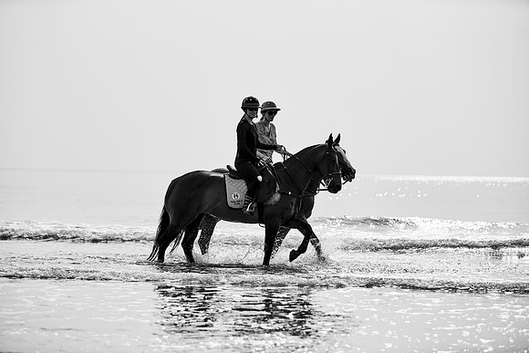 _DSC1648.ARW