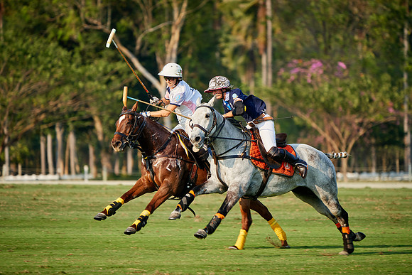 THAI-PINK-POLO-2019_DJ_5105