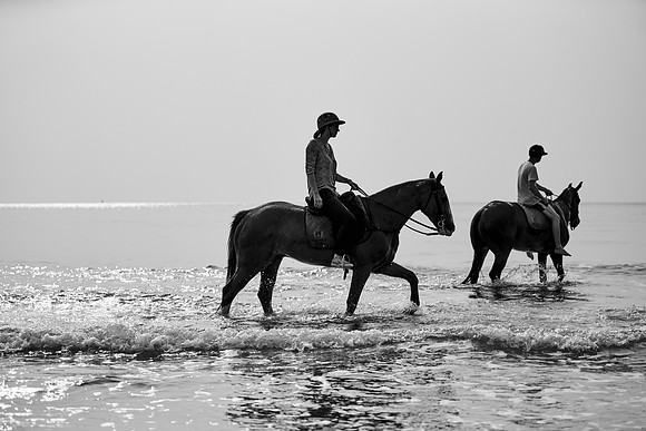 _DSC1562.ARW