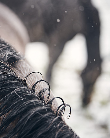 NATIONAL-STUD-27th-FEB-DJ-_DJ94975.ARW-6129