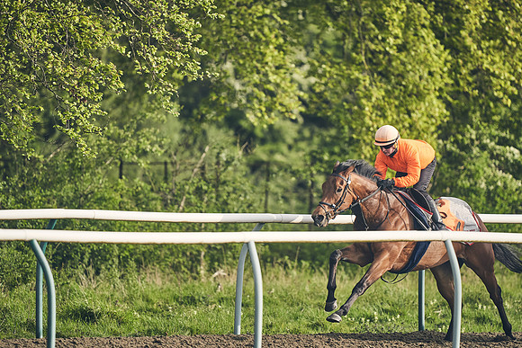 NEWMARKET-GALLOPS-24nd-APRIL-DJ-0634