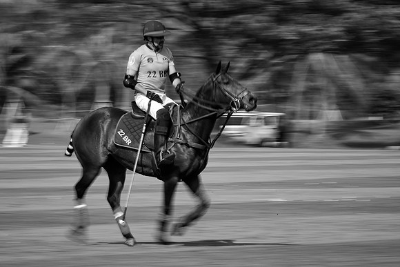 THAI-POLO-OPEN-2019_DJ_9704