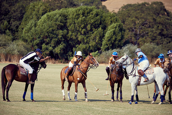 Oyster Cup Polo tournament
