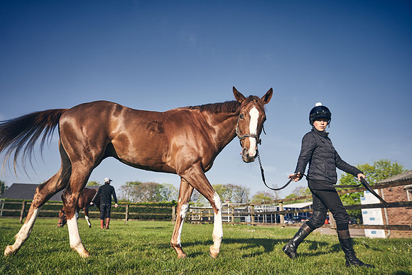 GEORGE-BOUGHEY-RACING-DJ-1203
