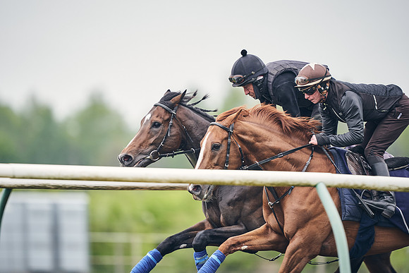 NEWMARKET-GALLOPS-25th-APRIL-DJ-0102