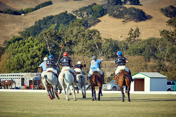 Oyster Cup Polo tournament