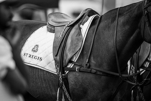 Polo Match at Ghantoot Polo Club - St. Regis vs ADCB for the Pink Polo Day charity