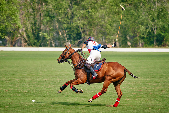 THAI-POLO-OPEN-2020-01-17-Dominic-James_DJ97337.ARW1687