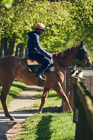 NEWMARKET-GALLOPS-22nd-APRIL-DJ-4019
