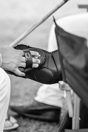 Royal Salute Gold Cup 2012 China Polo Open Tournament