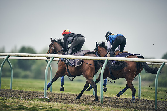 NEWMARKET-GALLOPS-25th-APRIL-DJ-0039