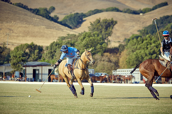 Oyster Cup Polo tournament