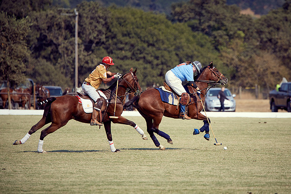 Oyster Cup Polo tournament