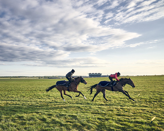 SUMMER GALLOPS-2nd-May-DJ-0286