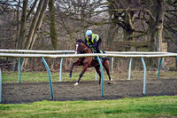 23rd Feb 22 Al Bahathri 001